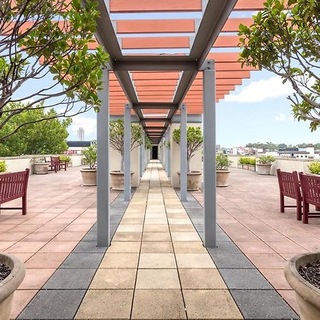 Nesuto Chippendale Aparthotel Sydney Exteriör bild